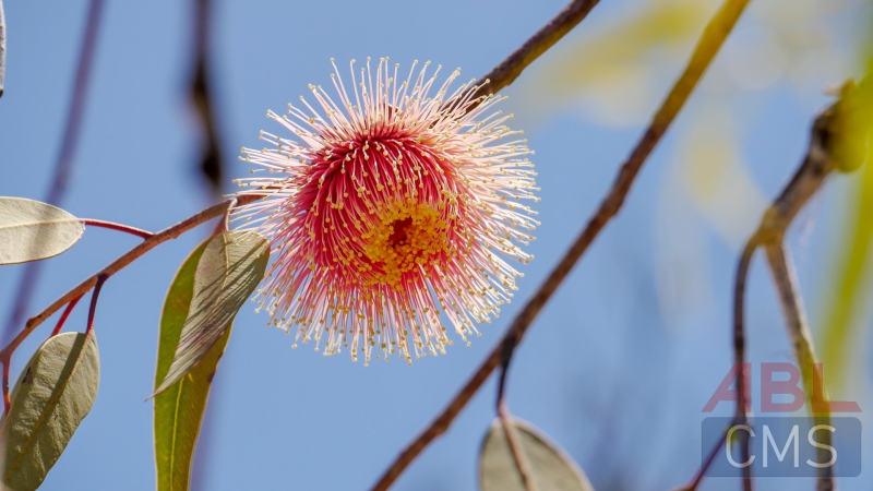 Lorem ipsum dolor sit amet consectetur - 10