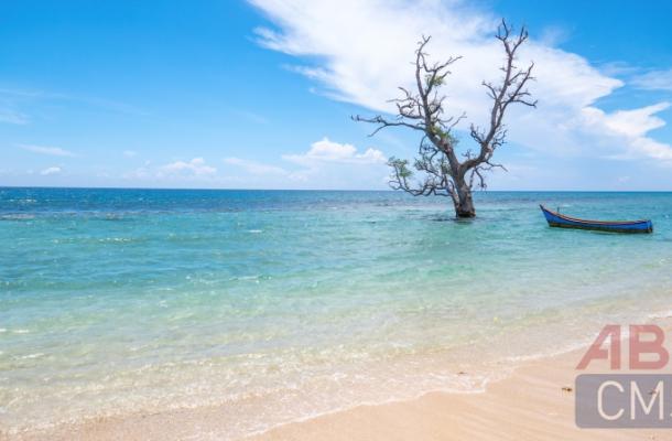 Lorem ipsum dolor sit amet consectetur - 8